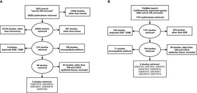 PCNA in Cervical Intraepithelial Neoplasia and Cervical Cancer: An Interaction Network Analysis of Differentially Expressed Genes